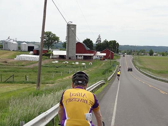 man on a bike, with barn and cows in the background